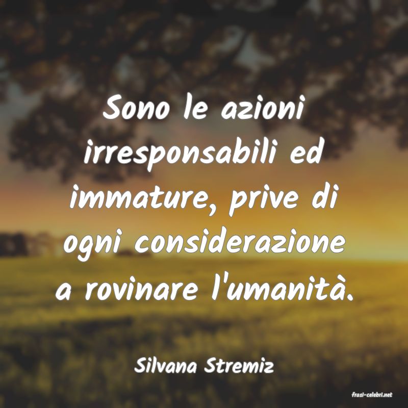 frasi di Silvana Stremiz