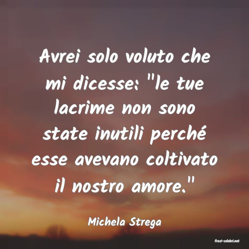 frasi di Michela Strega