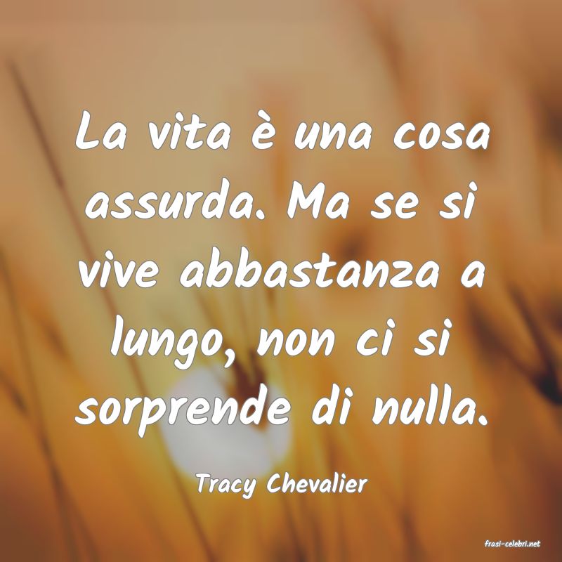 frasi di  Tracy Chevalier
