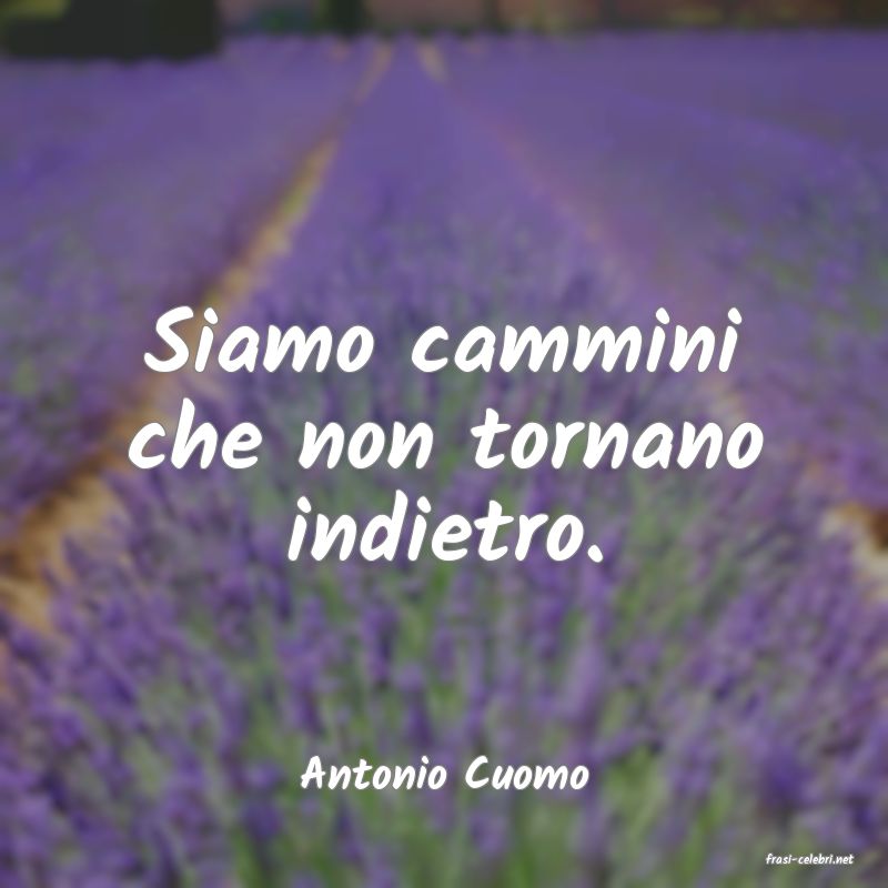 frasi di  Antonio Cuomo
