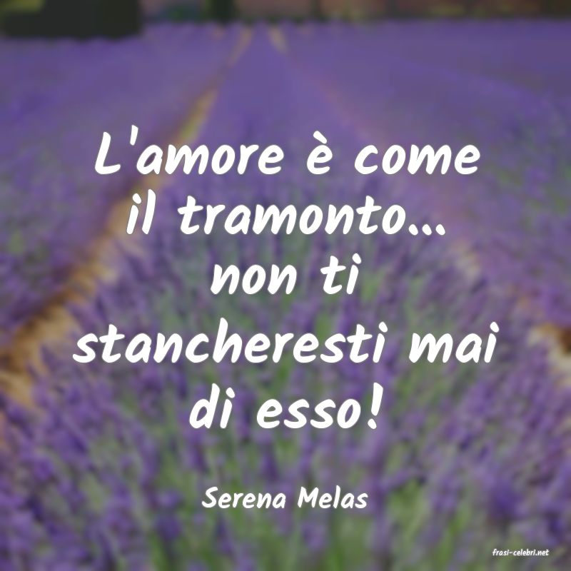 frasi di  Serena Melas
