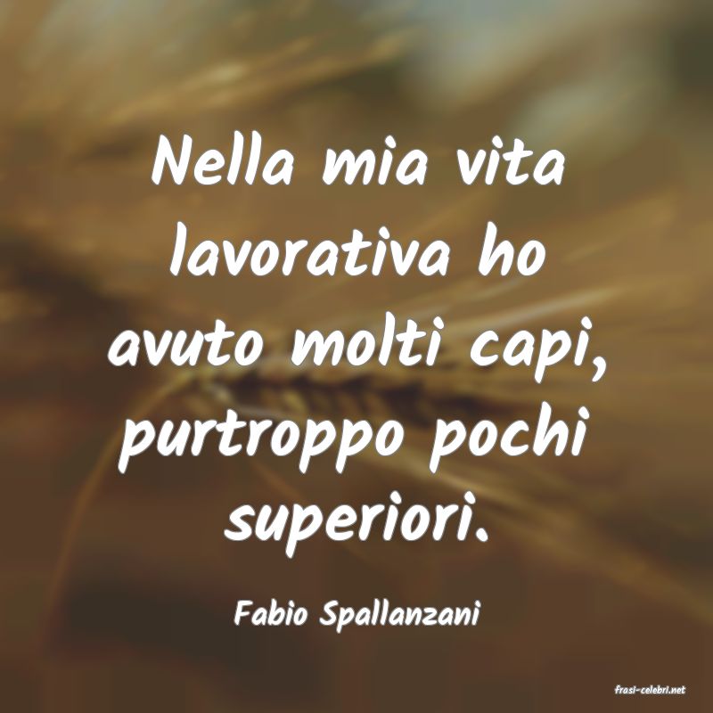 frasi di  Fabio Spallanzani
