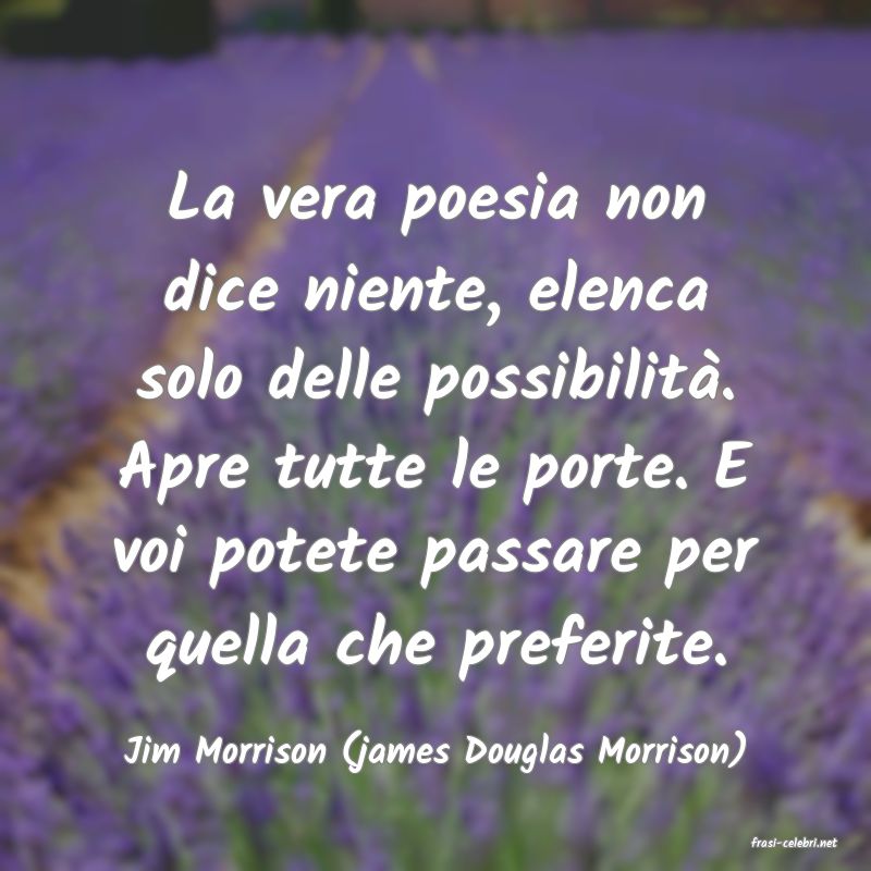 frasi di  Jim Morrison (james Douglas Morrison)
