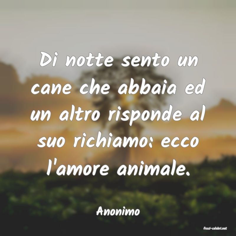 frasi di Anonimo