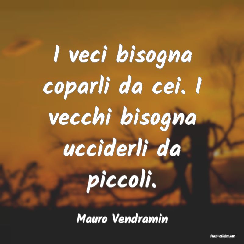 frasi di Mauro Vendramin