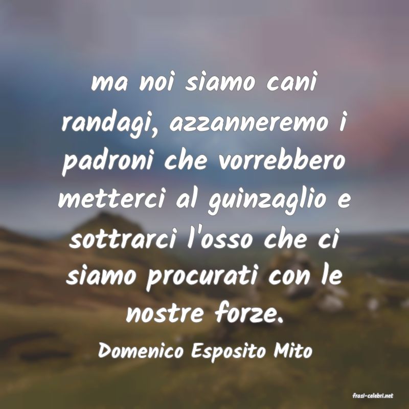 frasi di  Domenico Esposito Mito
