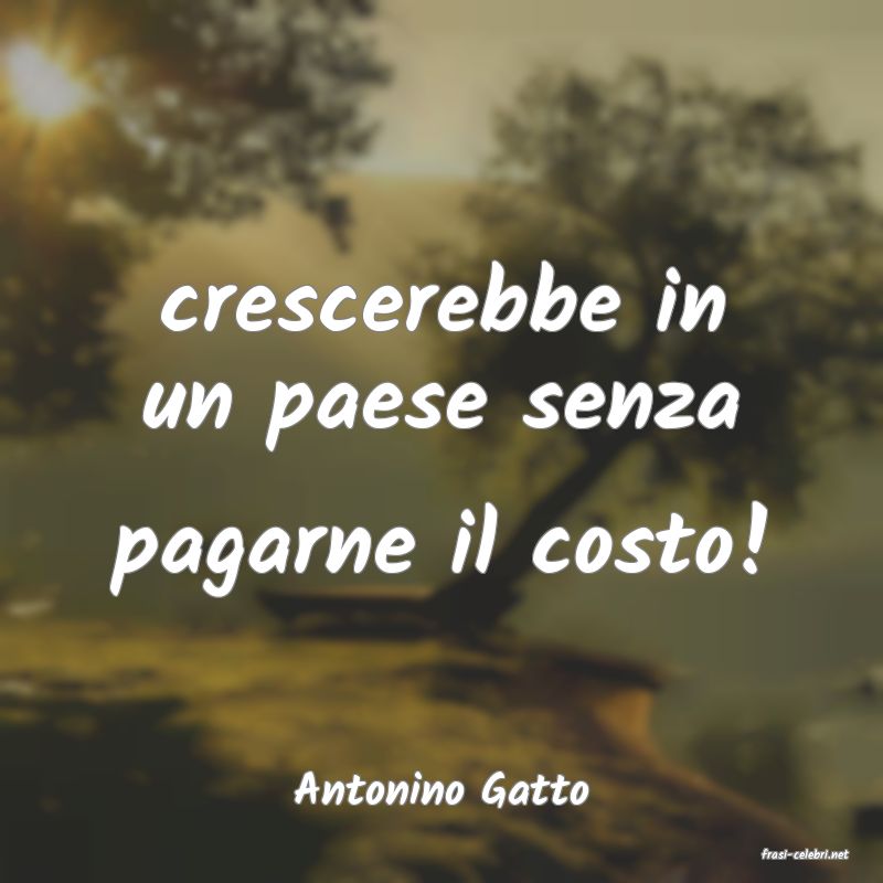 frasi di Antonino Gatto