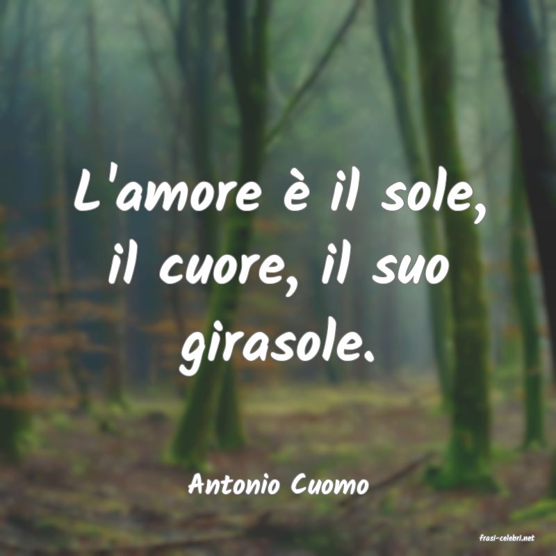 frasi di  Antonio Cuomo
