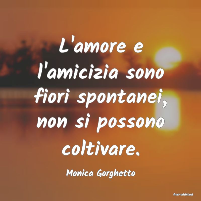 frasi di Monica Gorghetto
