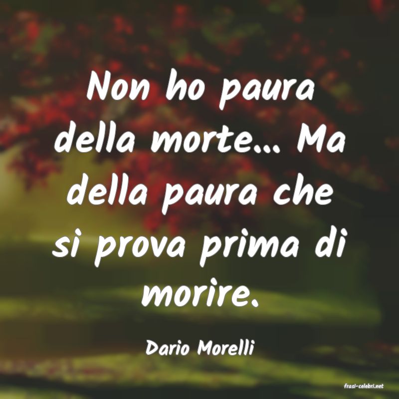 frasi di  Dario Morelli
