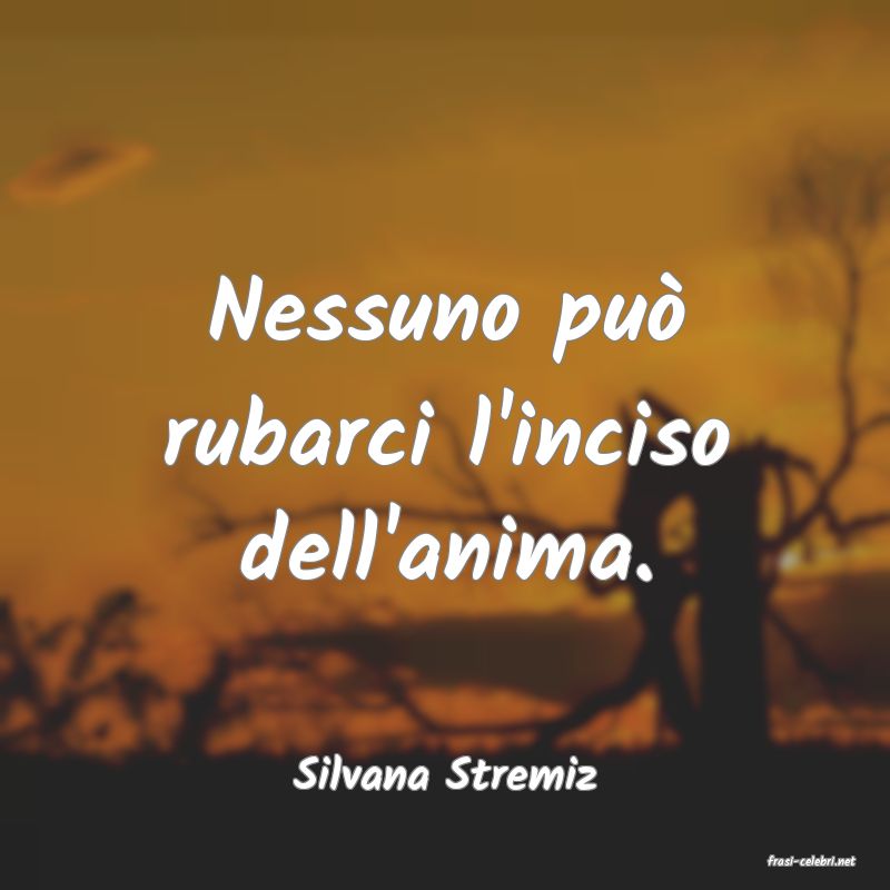 frasi di  Silvana Stremiz
