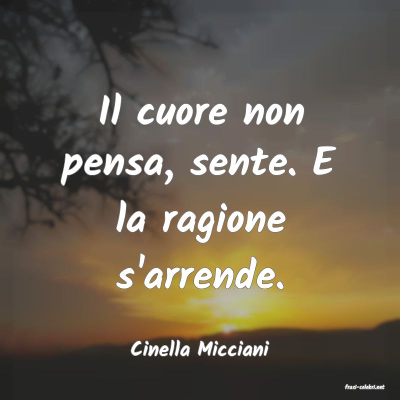 frasi di  Cinella Micciani
