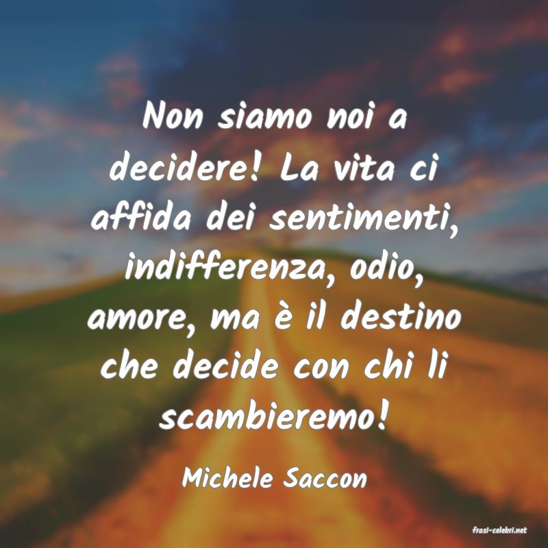 frasi di  Michele Saccon
