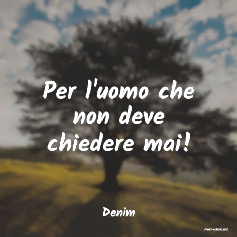 frasi di Denim