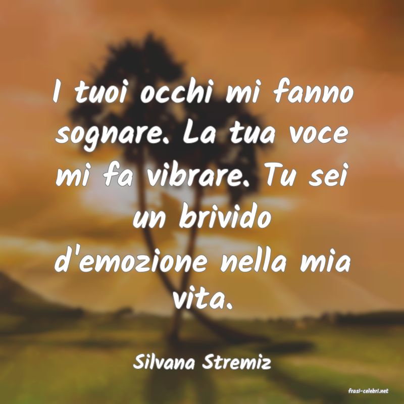 frasi di Silvana Stremiz