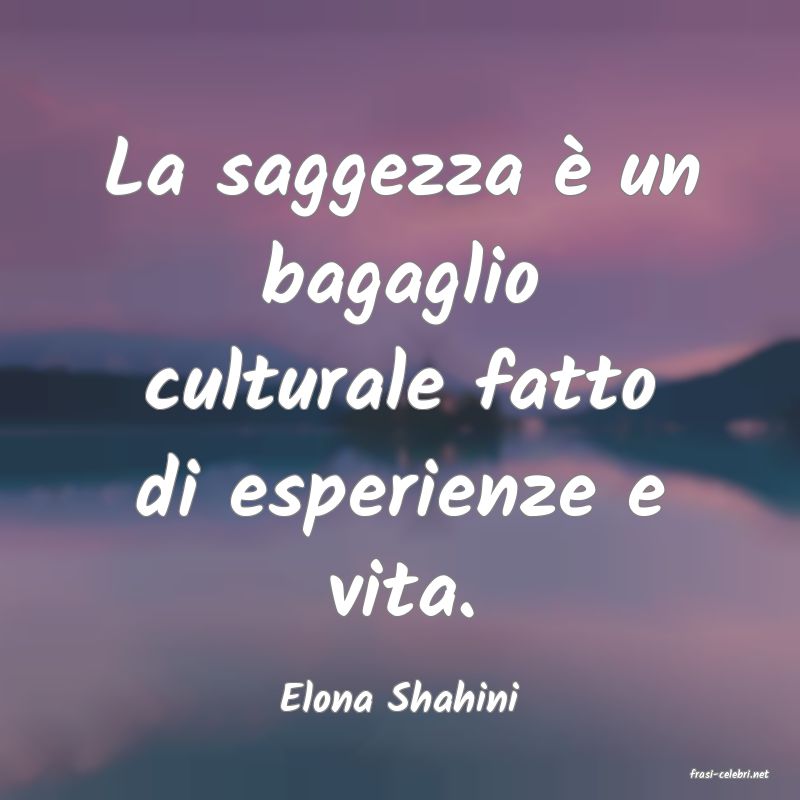 frasi di  Elona Shahini
