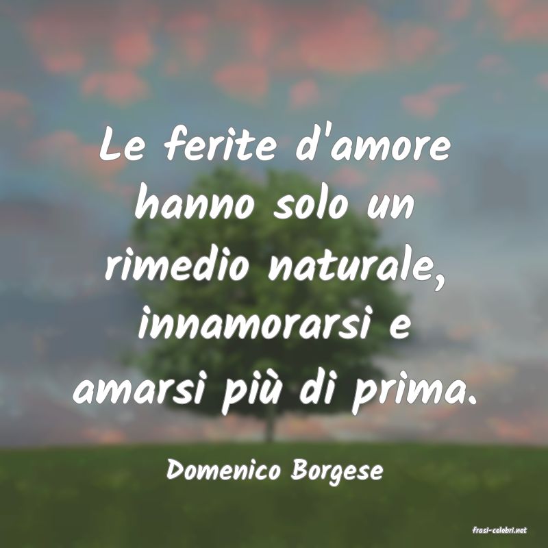 frasi di  Domenico Borgese
