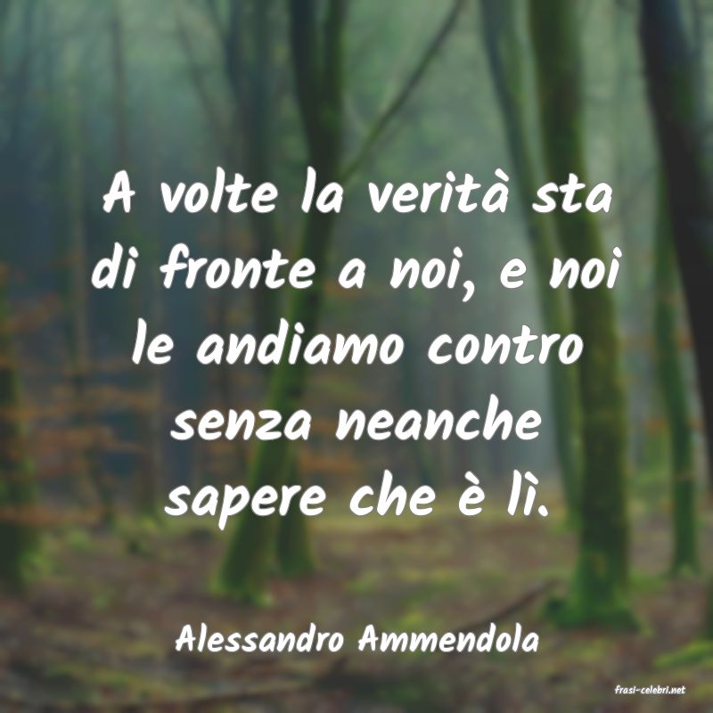frasi di Alessandro Ammendola