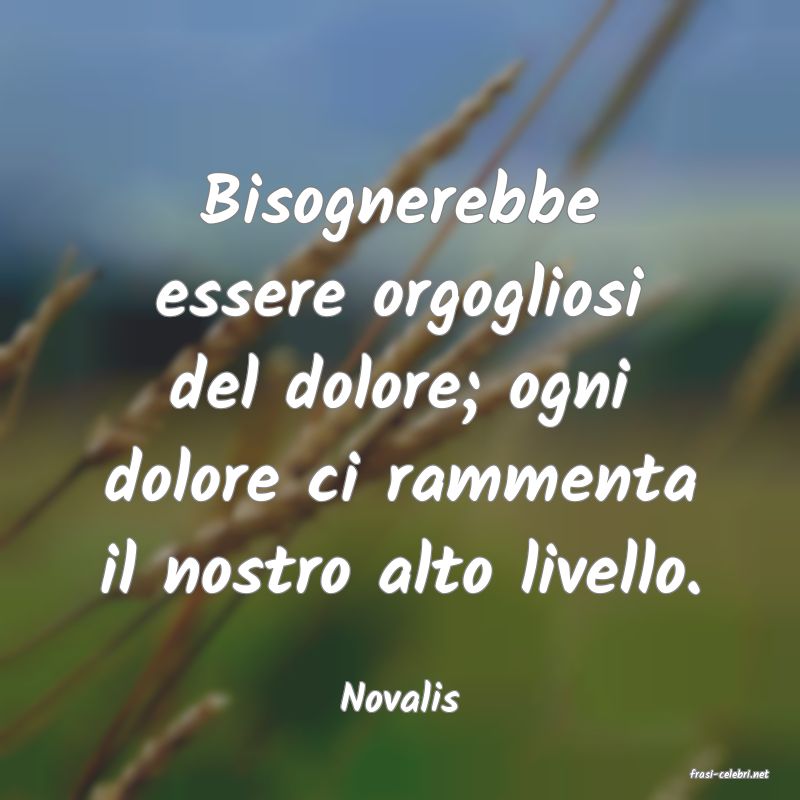 frasi di  Novalis
