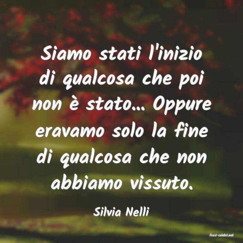 frasi di  Silvia Nelli
