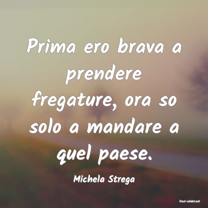 frasi di  Michela Strega

