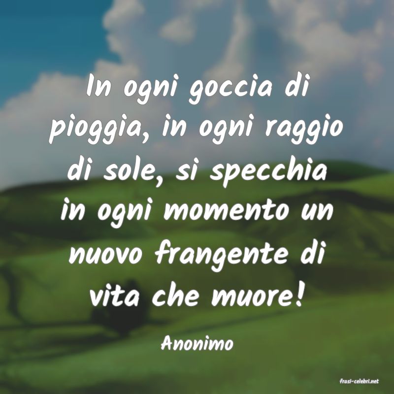 frasi di  Anonimo
