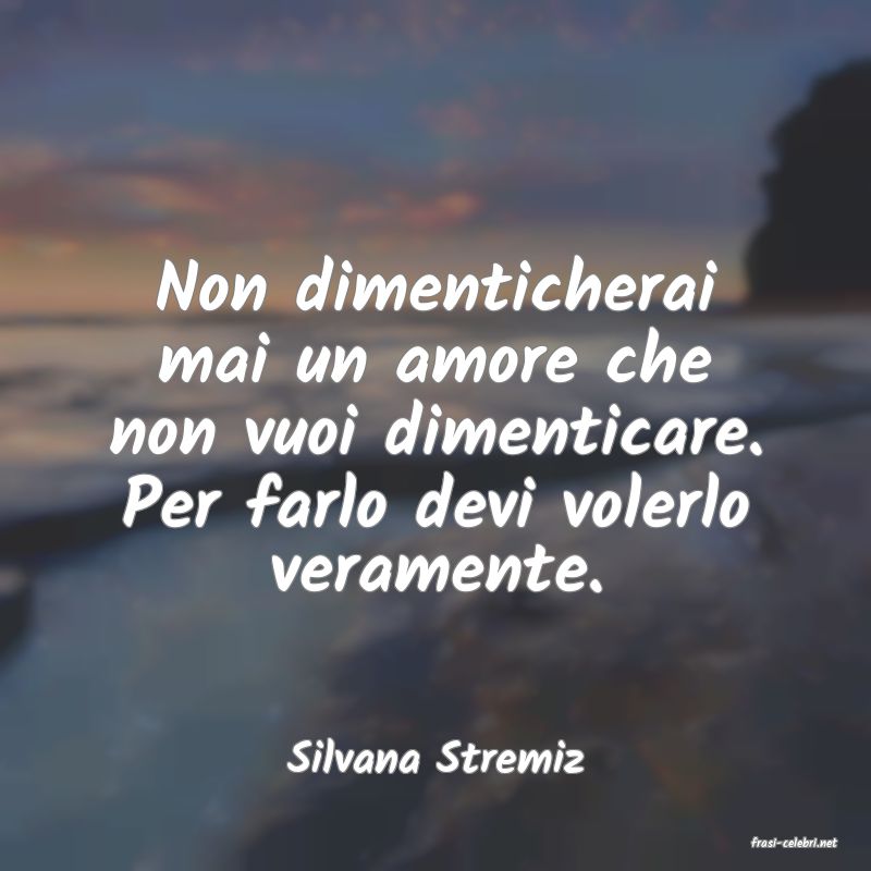 frasi di  Silvana Stremiz

