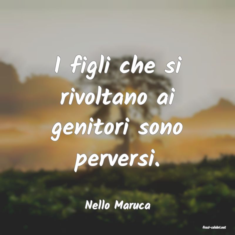 frasi di  Nello Maruca
