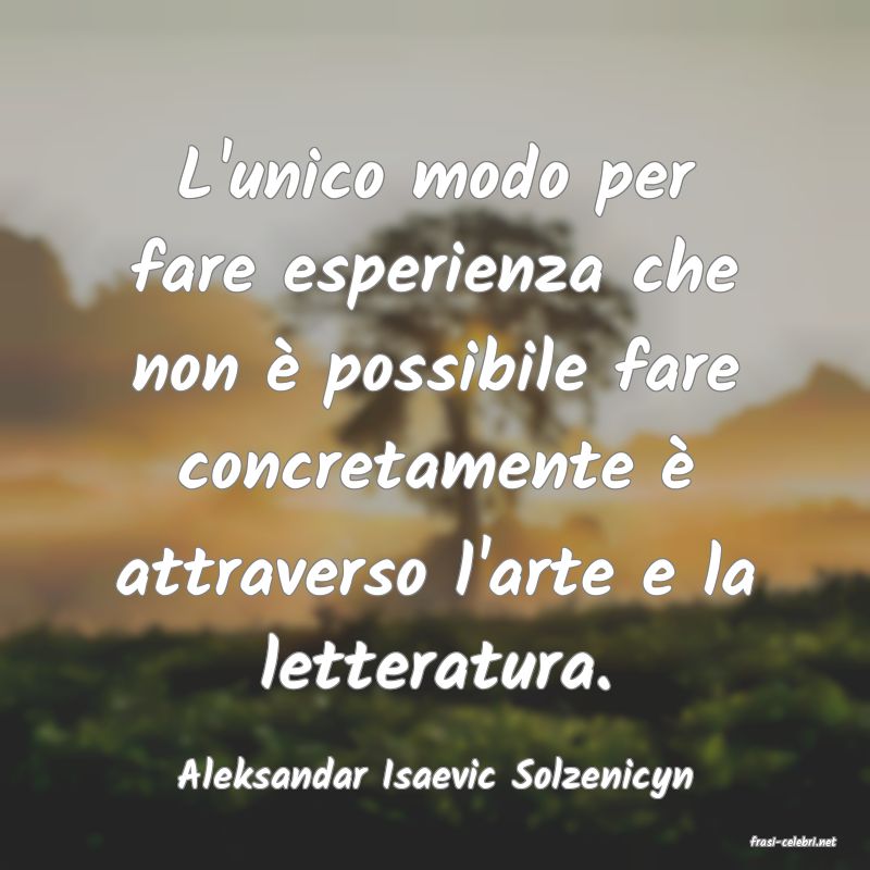 frasi di Aleksandar Isaevic Solzenicyn