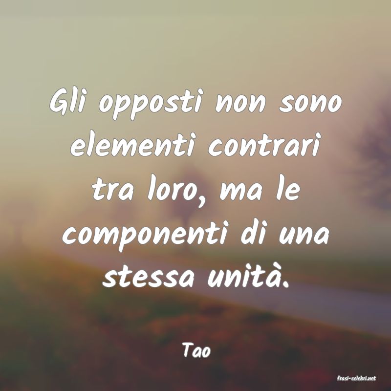 frasi di Tao