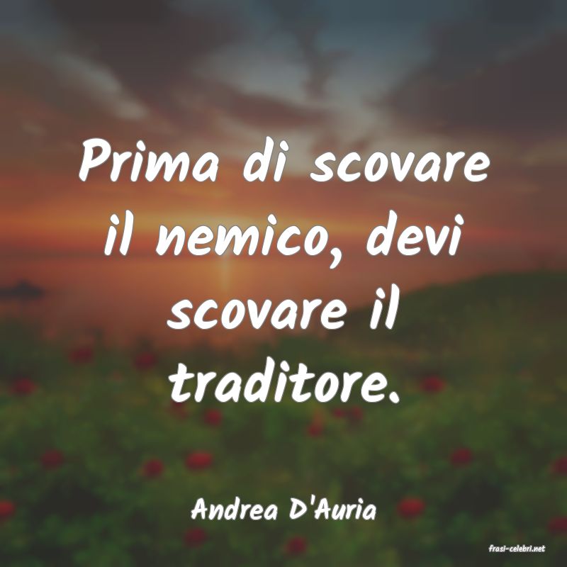 frasi di Andrea D'Auria