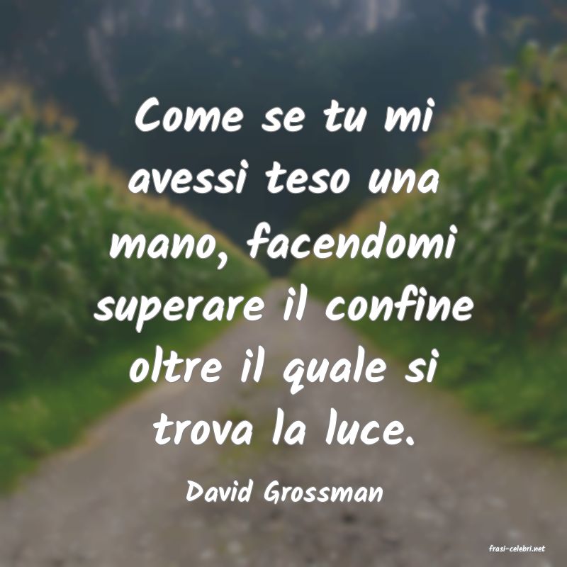frasi di  David Grossman
