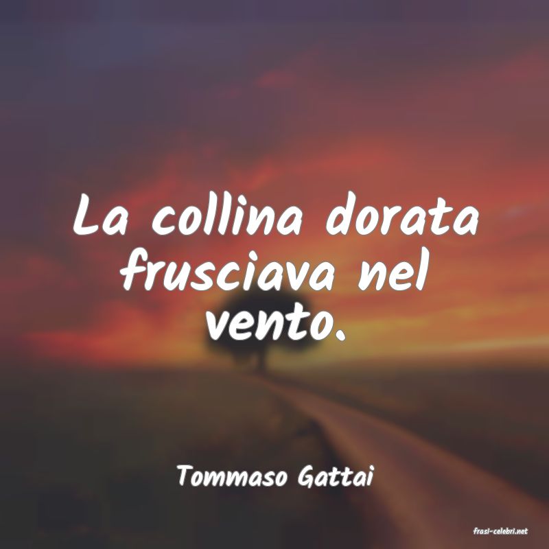 frasi di  Tommaso Gattai
