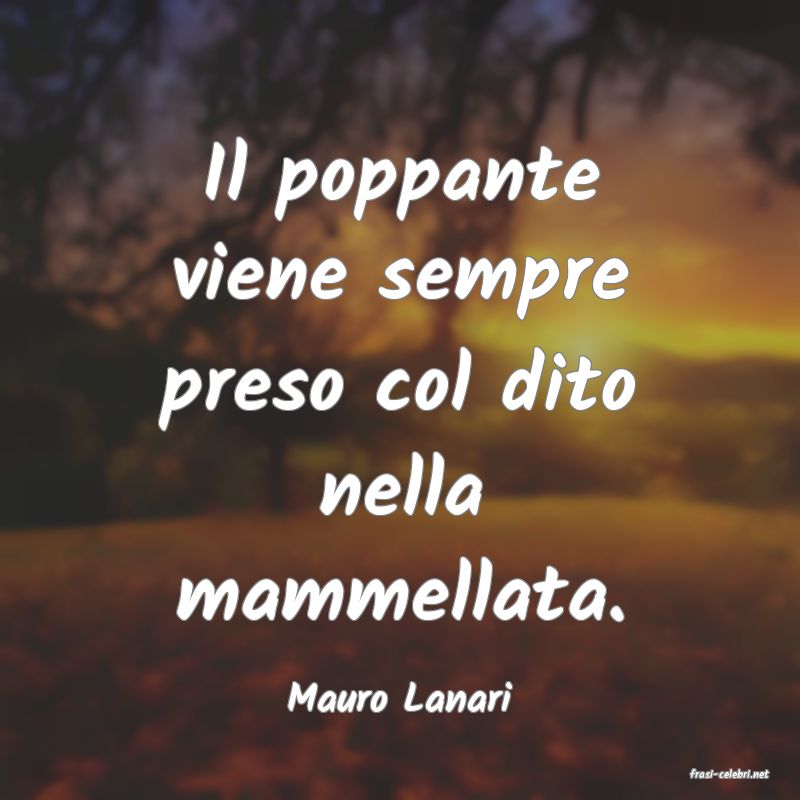 frasi di  Mauro Lanari
