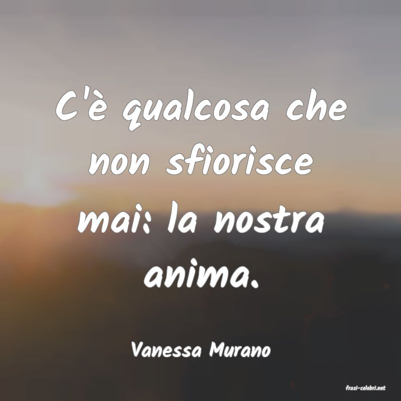 frasi di  Vanessa Murano

