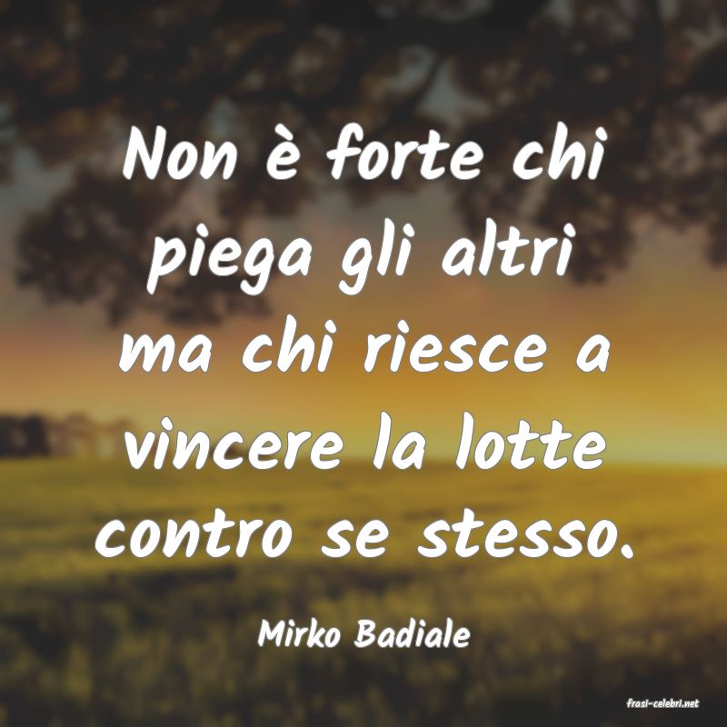 frasi di  Mirko Badiale
