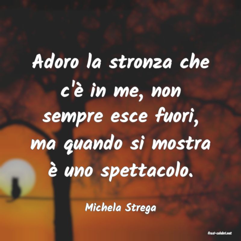 frasi di  Michela Strega
