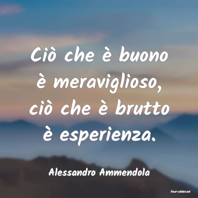 frasi di  Alessandro Ammendola
