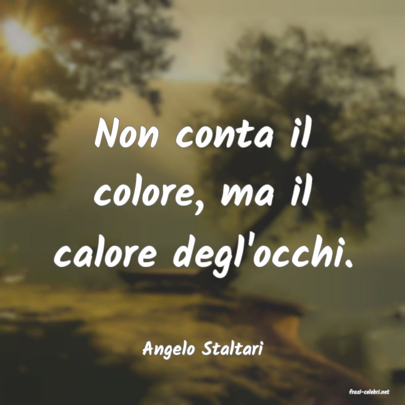 frasi di  Angelo Staltari
