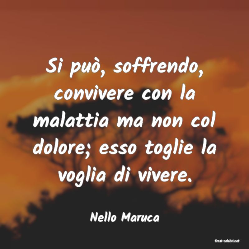 frasi di  Nello Maruca
