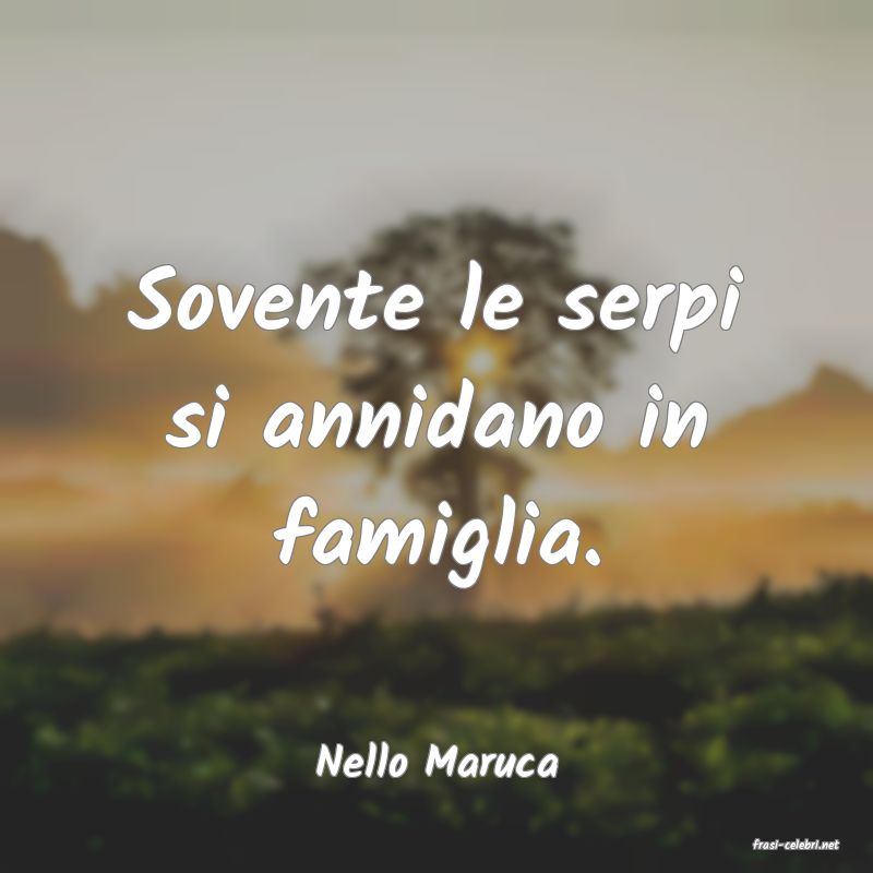 frasi di  Nello Maruca
