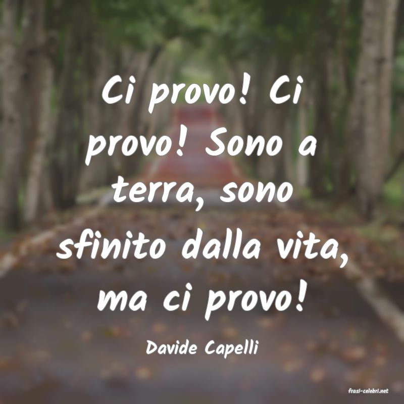 frasi di  Davide Capelli
