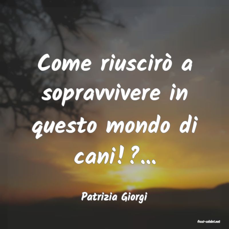 frasi di  Patrizia Giorgi
