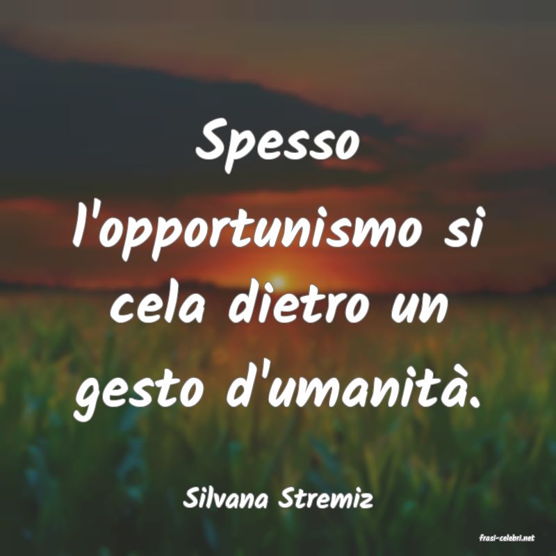 frasi di Silvana Stremiz