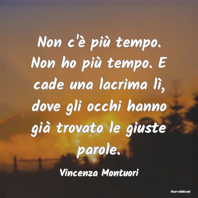frasi di  Vincenza Montuori
