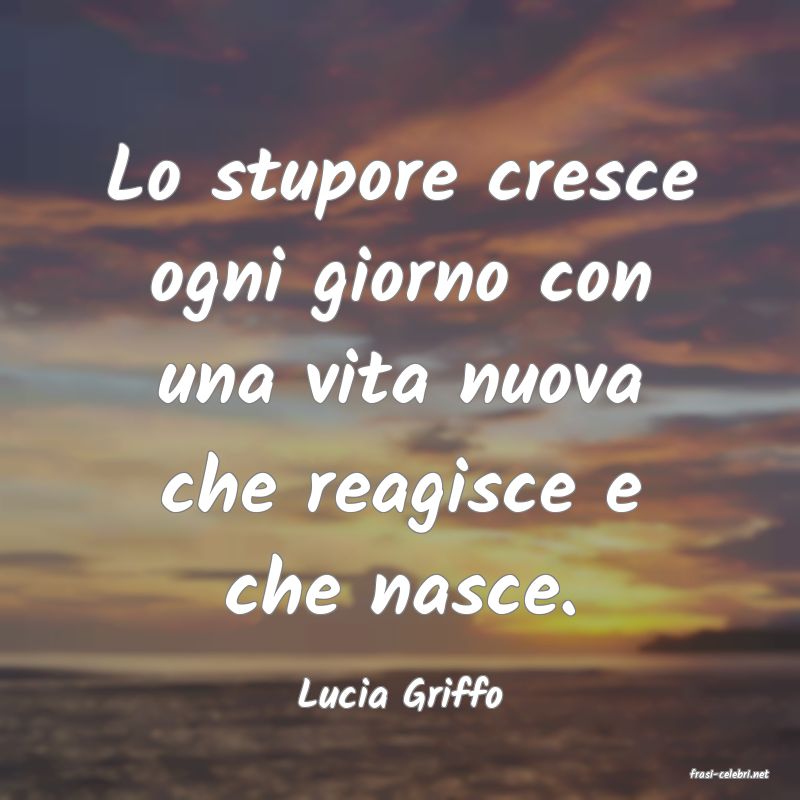 frasi di  Lucia Griffo
