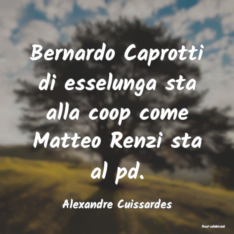 frasi di  Alexandre Cuissardes
