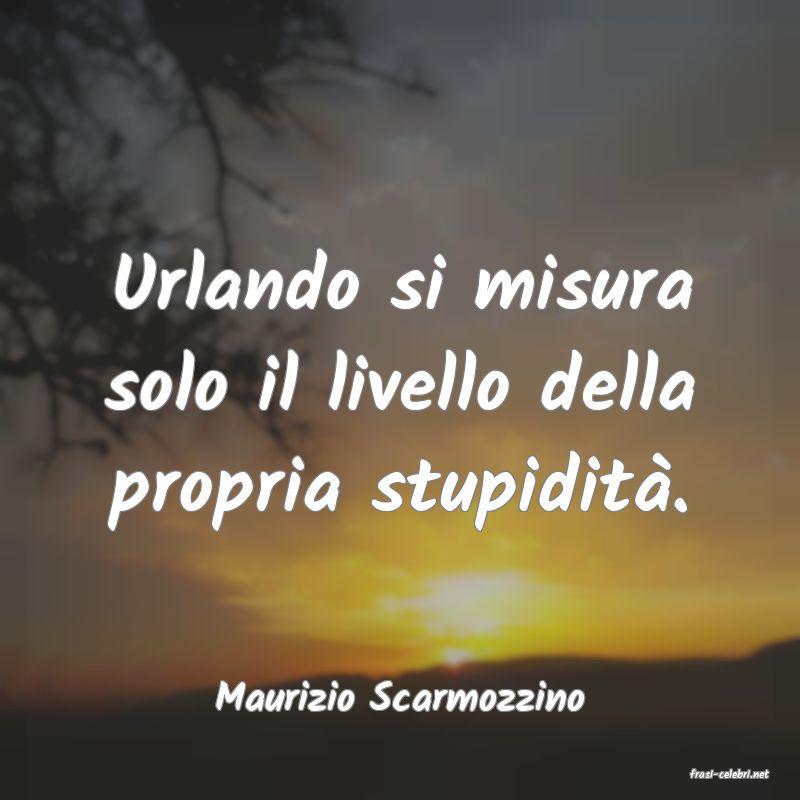 frasi di  Maurizio Scarmozzino
