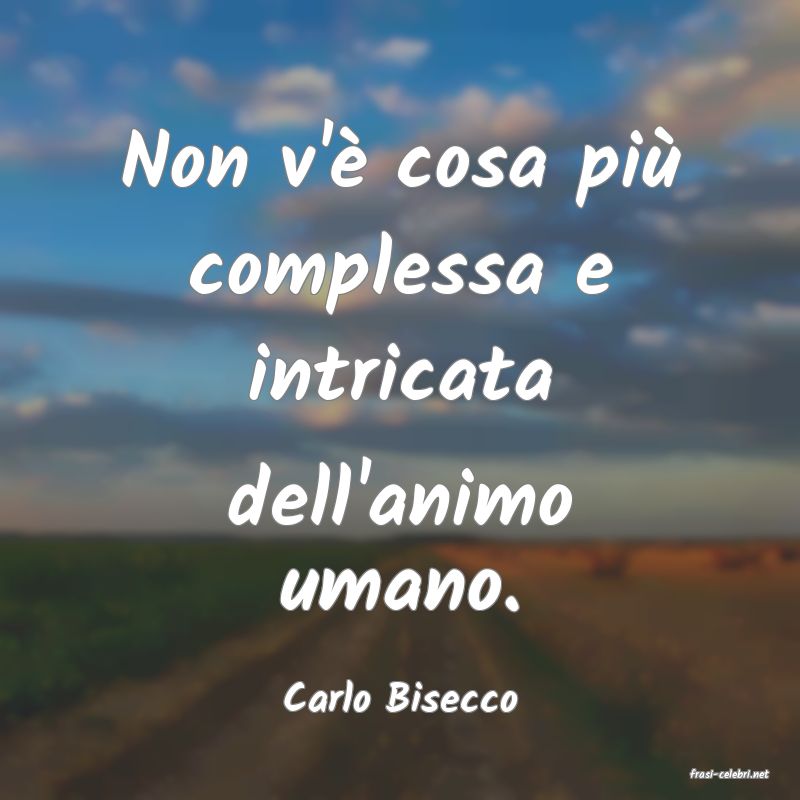 frasi di  Carlo Bisecco
