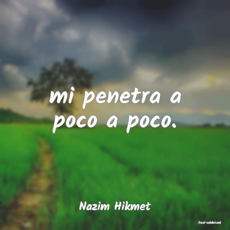 frasi di Nazim Hikmet